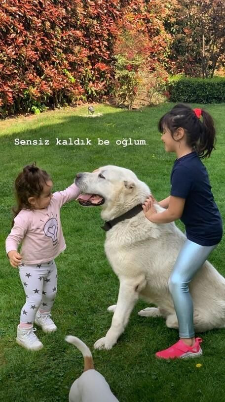 Volkan Demirel "Dost'u" kaybetti! - Sayfa 5