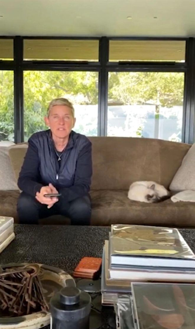 Ünlü televizyoncu Ellen DeGeneres'i eski çalışanları yerden yere vurdu: Evi tuzaklarla doluydu - Sayfa 9