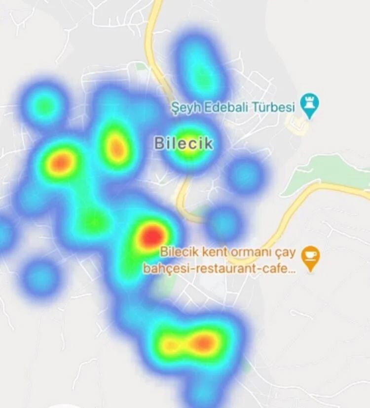 Bakan Koca tek tek açıkladı! Kritik illerin yoğunluk haritası korkuttu - Sayfa 12