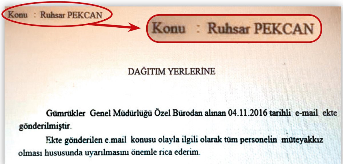Ruhsar Pekcan o yazıdan 20 ay sonra bakan olmuş! - Resim : 1