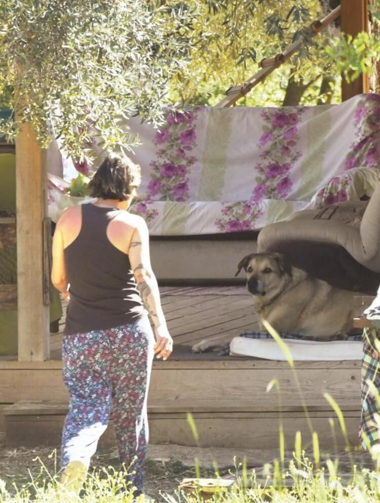 Şöhreti geride bırakıp, Milas'a yerleşti... Özlem Tekin'in çiftlik hayatı - Sayfa 3