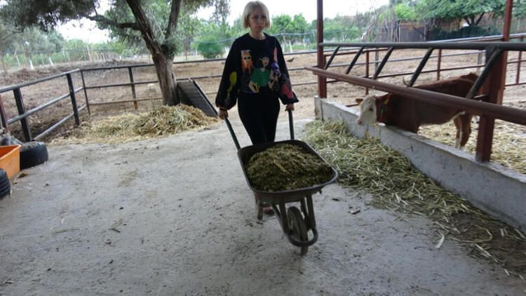 Spikerliği bıraktı hayvancılığa başladı! - Sayfa 9