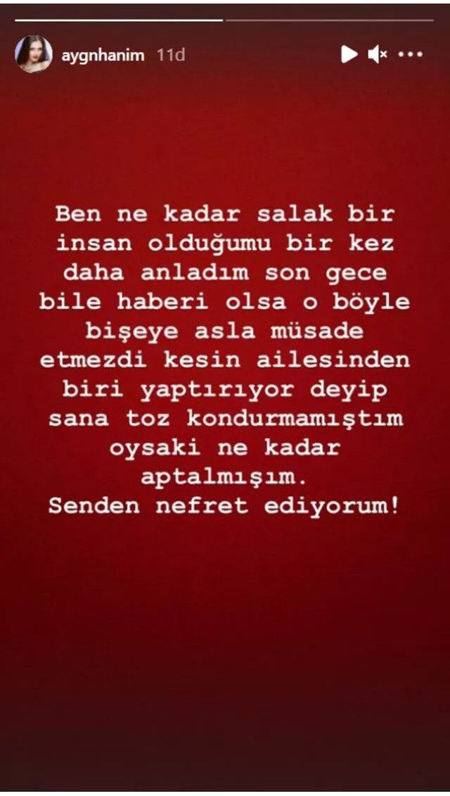 Cezaevinden çıkıp Hakan Sabancı’ya küfürler yağdıran Aygün Aydın geri adım atmadı! - Sayfa 7