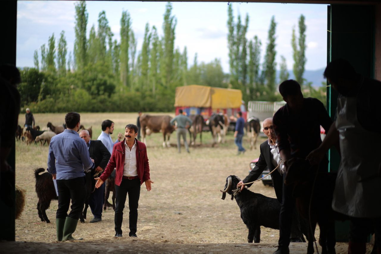 Gönül Dağı dizisine flaş transfer! Hangi usta oyuncu kadroya katıldı? - Sayfa 12