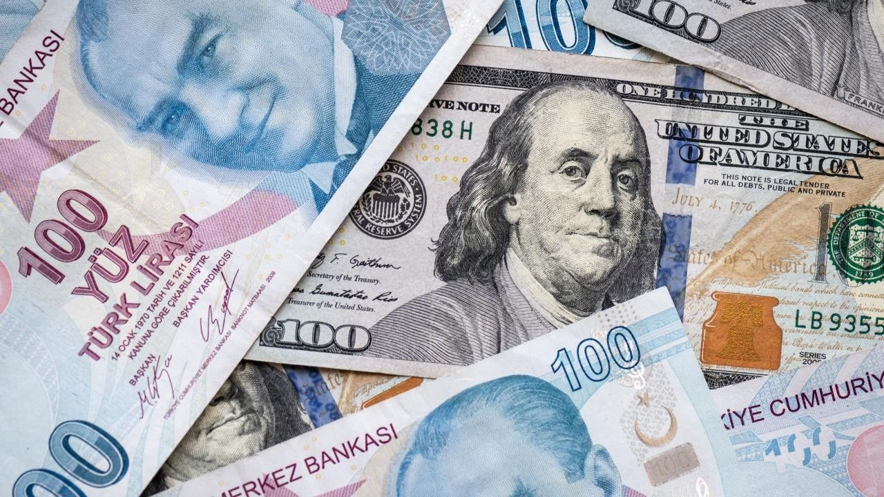 Dolar'daki artış tüm ekonomik aktörleri nasıl etkiliyor? İşte TL'deki tarihi kaybın bilançosu - Sayfa 25