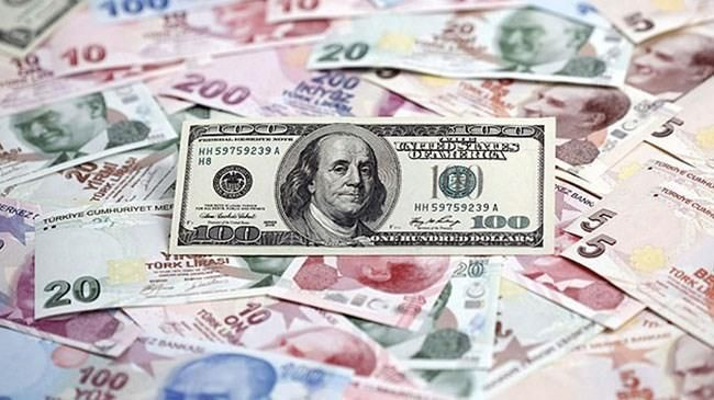 Dolar'daki artış tüm ekonomik aktörleri nasıl etkiliyor? İşte TL'deki tarihi kaybın bilançosu - Sayfa 8