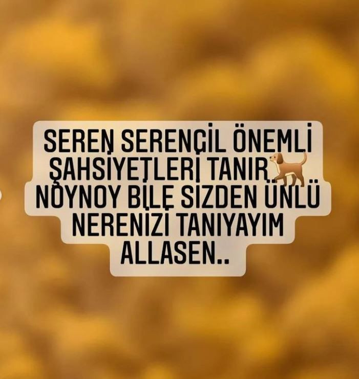 Danla Biliç ve Seren Serengil birbirine girdi: "Köpeğim noy noy bile sizden daha ünlü!" - Sayfa 5