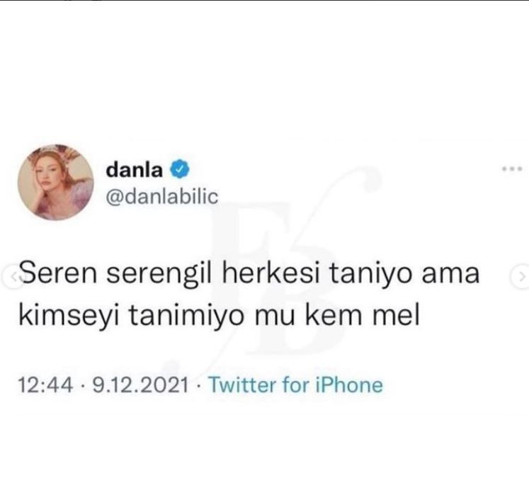 Danla Biliç ve Seren Serengil birbirine girdi: "Köpeğim noy noy bile sizden daha ünlü!" - Sayfa 3