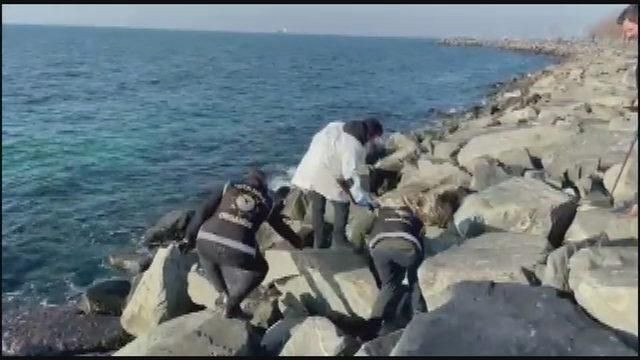 Şafak Mahmutyazıcıoğlu'nun öldürülmesiyle ilgili flaş gelişme! Kayalıklarda bulundu - Sayfa 7