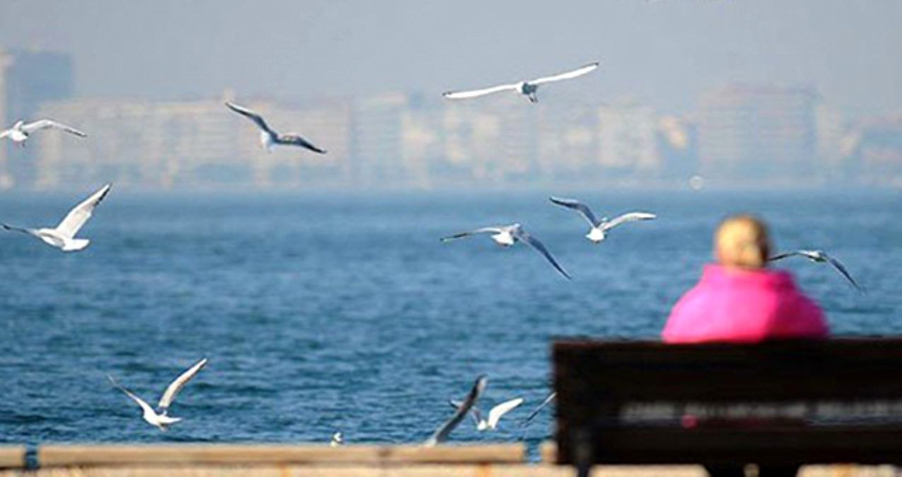 Meteoroloji baharın müjdesini verdi! Hafta başından itibaren hava sıcaklığı artacak - Sayfa 4