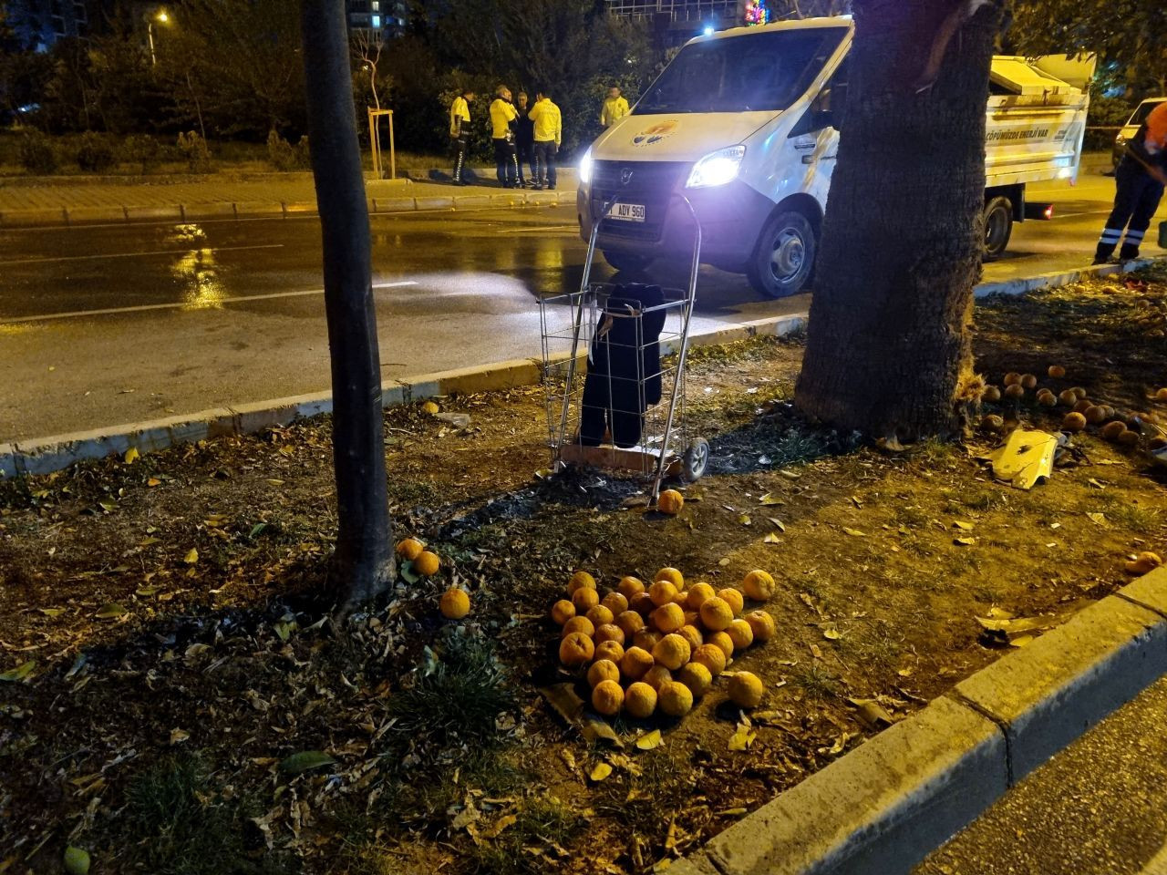 Turunç toplayan 3 kadın, otomobilin çarpması sonucu hayatını kaybetti - Sayfa 3