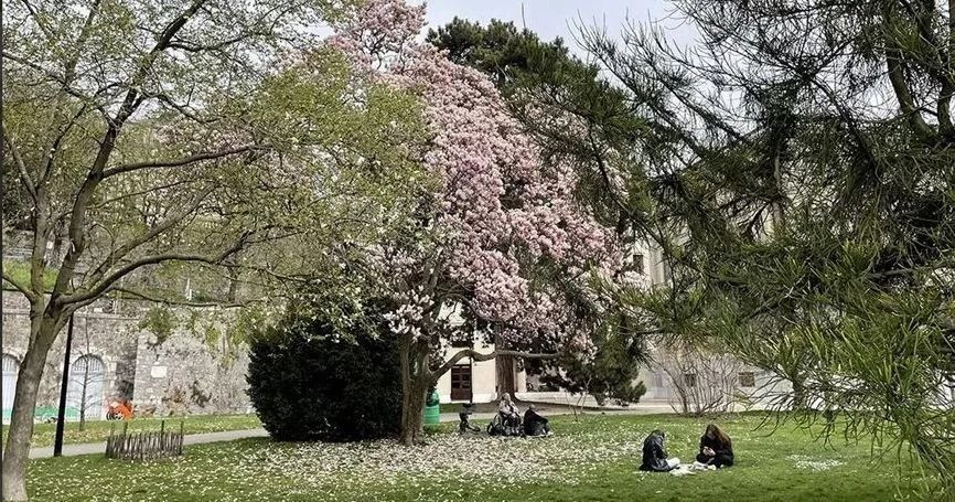 62 bin TL’ye çalışacak 85 bin kişi aranıyor! İşte istenen şartlar… - Sayfa 8