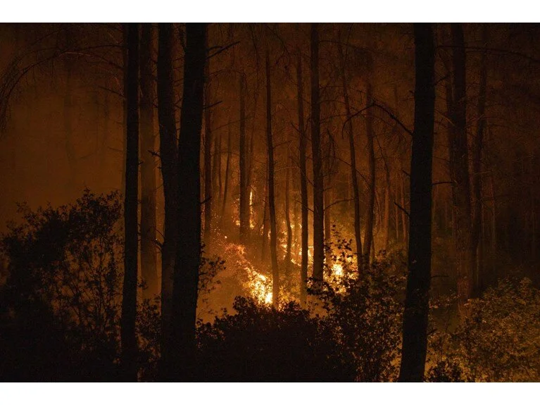 Marmaris'te orman yangını: Alevlerle mücadelede 2. gün - Sayfa 6