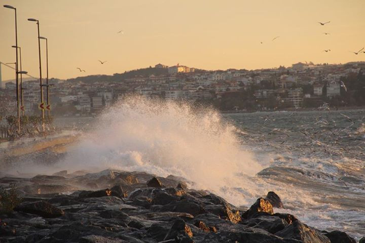 UNESCO duyurdu: Marsilya, İskenderiye ve İstanbul tsunami tehlikesi altında - Sayfa 8