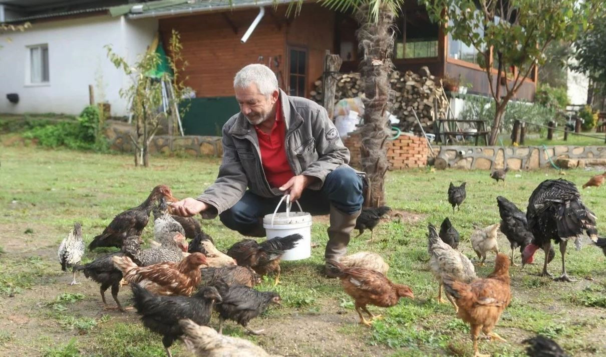 Yeşilçam’da herkesin sevgilisiydi! Ayşecik filminin başrolü son hali ile şok etti… - Sayfa 8