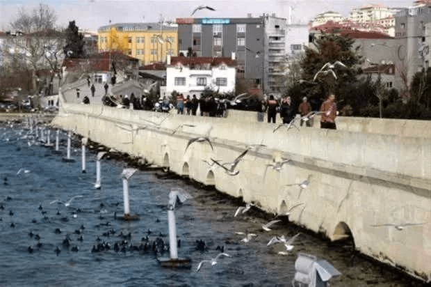 İstanbul'da en çok nereli var! İlçe ilçe rakamlar açıklandı: En çok İstanbullu bakın hangi ilçede? - Sayfa 38