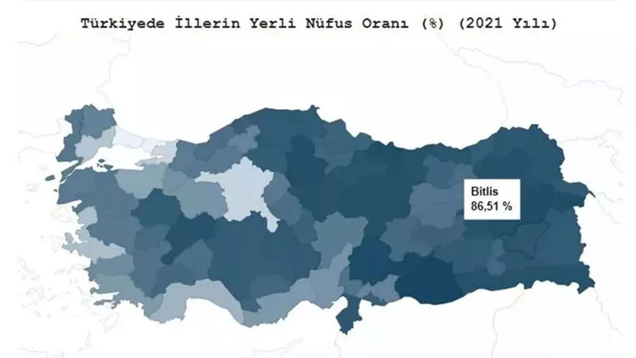 Türkiye’de hangi il ne kadar yerli? TÜİK açıkladı! İşte ‘en yerli’ şehir… - Sayfa 99