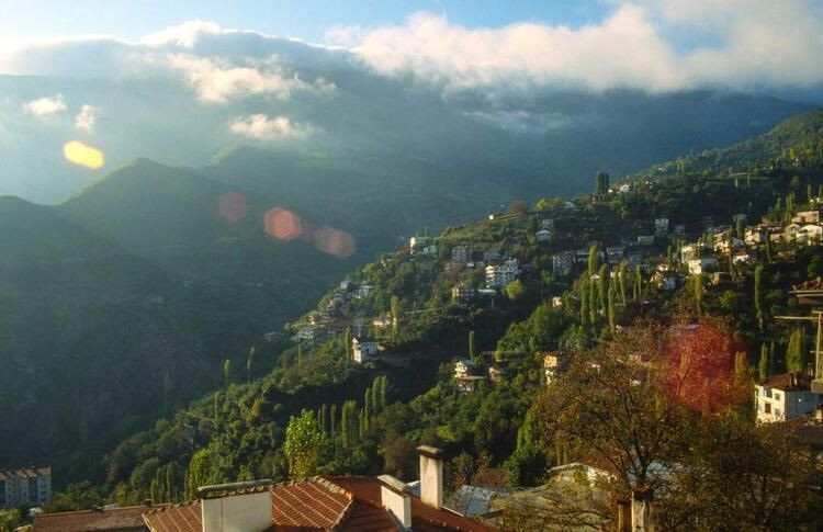 Türkiye’de hangi il ne kadar yerli? TÜİK açıkladı! İşte ‘en yerli’ şehir… - Sayfa 11