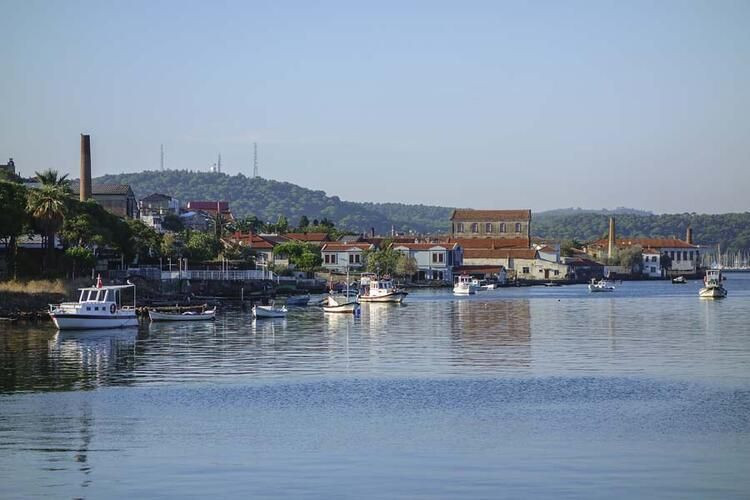 Türkiye’de hangi il ne kadar yerli? TÜİK açıkladı! İşte ‘en yerli’ şehir… - Sayfa 13