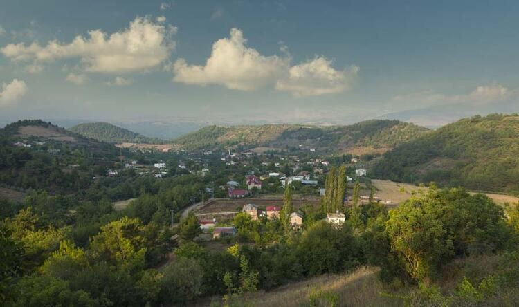 Türkiye’de hangi il ne kadar yerli? TÜİK açıkladı! İşte ‘en yerli’ şehir… - Sayfa 65