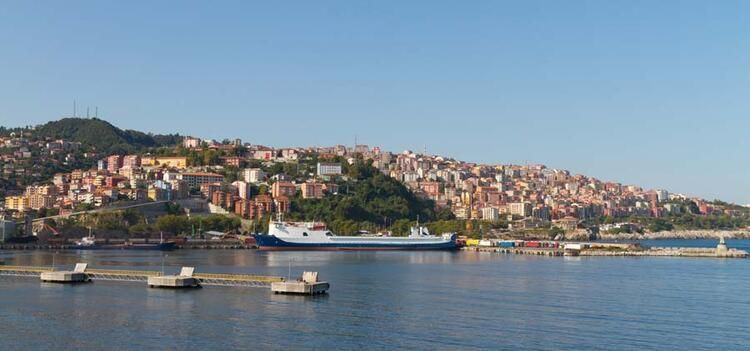 Türkiye’de hangi il ne kadar yerli? TÜİK açıkladı! İşte ‘en yerli’ şehir… - Sayfa 82