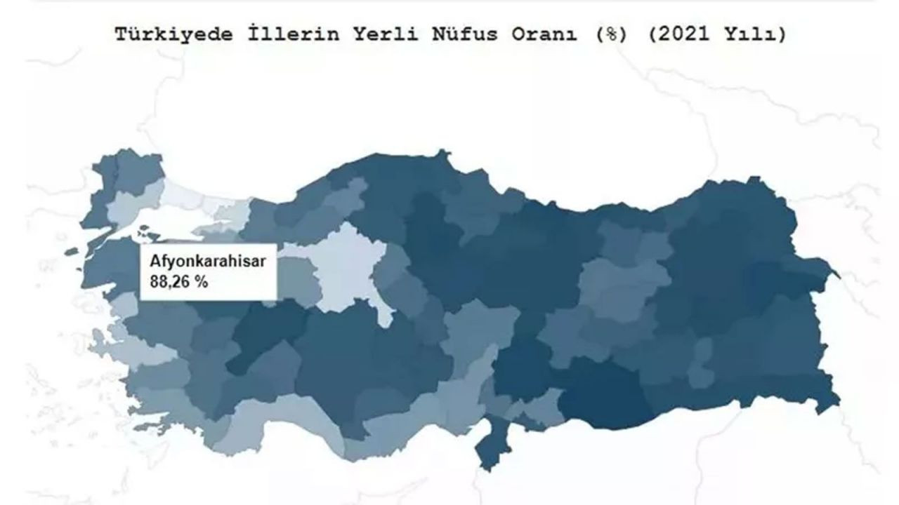 Türkiye’de hangi il ne kadar yerli? TÜİK açıkladı! İşte ‘en yerli’ şehir… - Sayfa 85