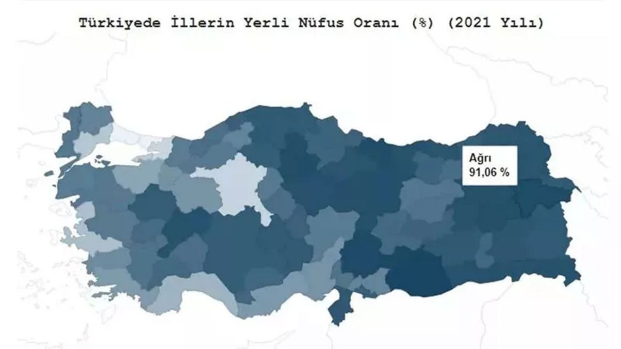 Türkiye’de hangi il ne kadar yerli? TÜİK açıkladı! İşte ‘en yerli’ şehir… - Sayfa 86