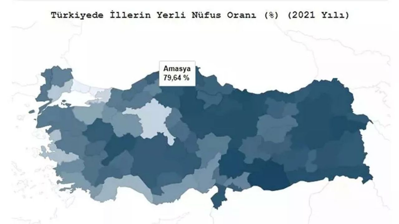 Türkiye’de hangi il ne kadar yerli? TÜİK açıkladı! İşte ‘en yerli’ şehir… - Sayfa 88