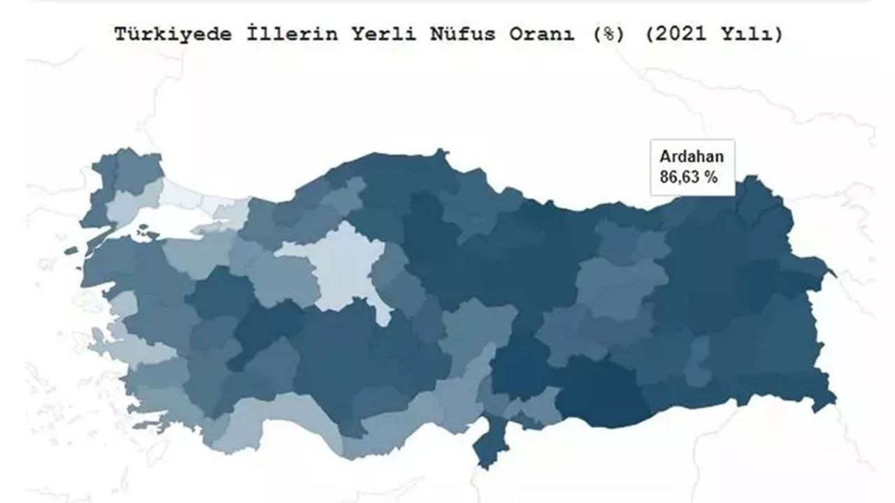 Türkiye’de hangi il ne kadar yerli? TÜİK açıkladı! İşte ‘en yerli’ şehir… - Sayfa 91