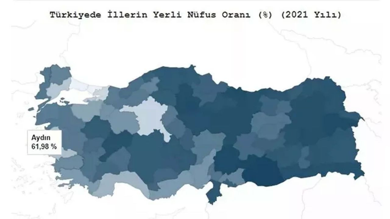 Türkiye’de hangi il ne kadar yerli? TÜİK açıkladı! İşte ‘en yerli’ şehir… - Sayfa 93