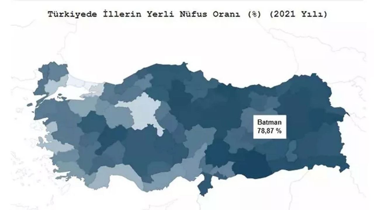 Türkiye’de hangi il ne kadar yerli? TÜİK açıkladı! İşte ‘en yerli’ şehir… - Sayfa 95