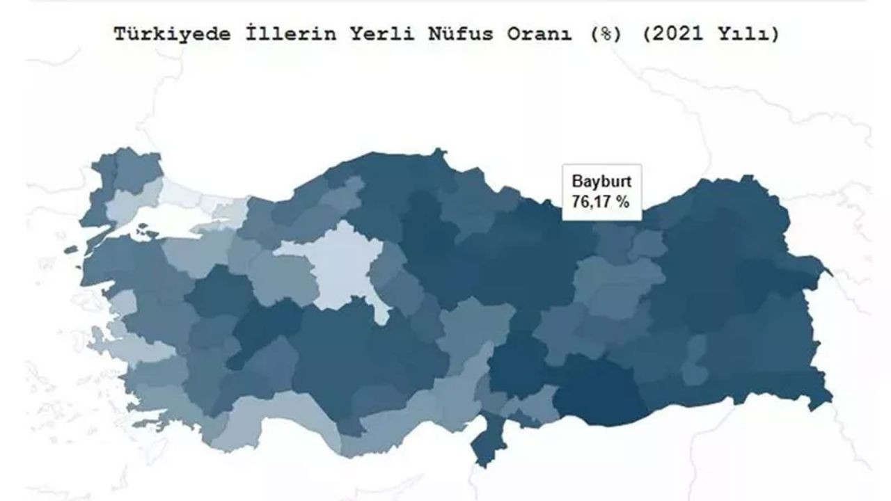 Türkiye’de hangi il ne kadar yerli? TÜİK açıkladı! İşte ‘en yerli’ şehir… - Sayfa 96