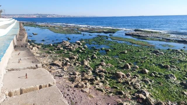 Marmara Denizi'ndeki çekilme büyük panik yarattı! Depremin habercisi mi? - Sayfa 7