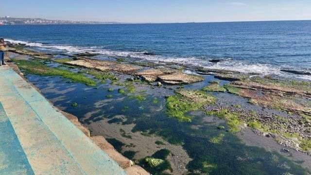 Marmara Denizi'ndeki çekilme büyük panik yarattı! Depremin habercisi mi? - Sayfa 4