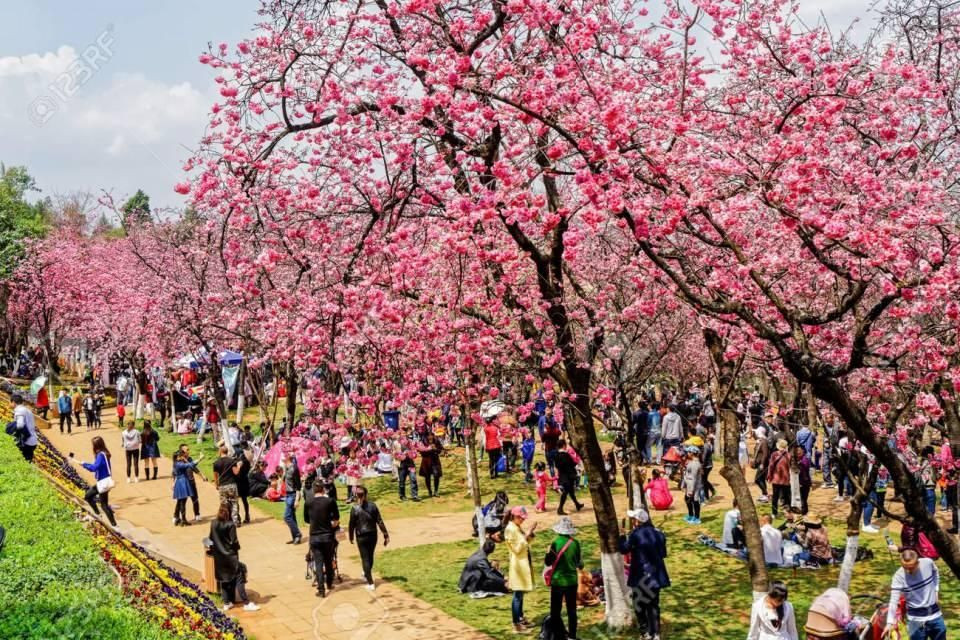 Zirvede İstanbul mahallesi yok! İşte Türkiye’nin en kalabalık mahalleleri… - Sayfa 52