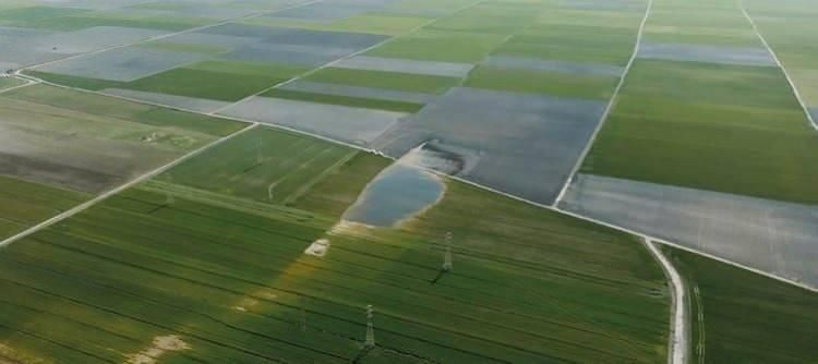 Bakanlık diri fay haritasını güncelliyor! İşte fay hattı üzerindeki il ve ilçeler… - Sayfa 21