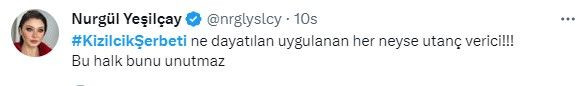 RTÜK'ün 'Kızılcık Şerbeti' yayınını kesmesine tepki: 'Televizyon tarihinde kara bir gün' - Sayfa 14