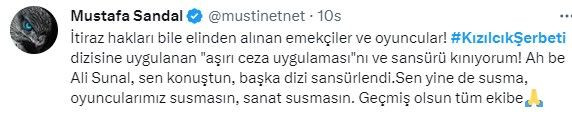 RTÜK'ün 'Kızılcık Şerbeti' yayınını kesmesine tepki: 'Televizyon tarihinde kara bir gün' - Sayfa 15