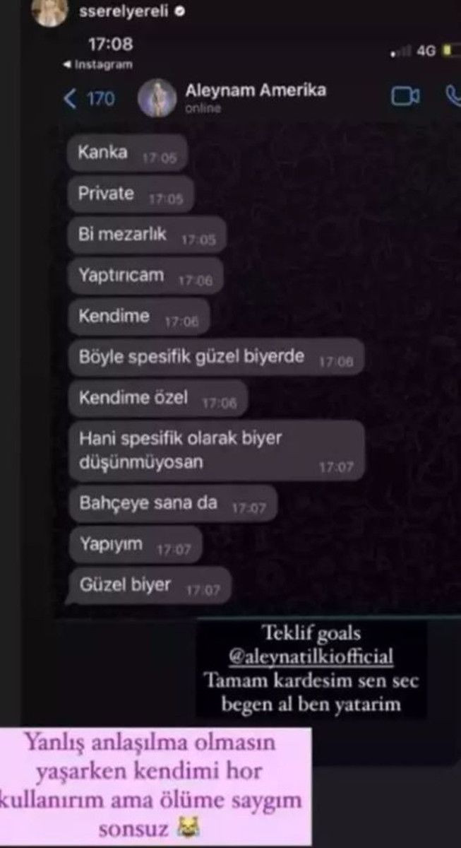 Serel Yereli, yakın arkadaşı Aleyna Tilki'yle özel konuşmalarını yayınladı! O detay dikkat çekti - Sayfa 5