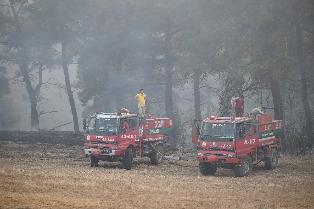 Çanakkale’deki yangın son felaketinde durum: Evler hasar gördü, köyler boşaltıldı - Sayfa 8