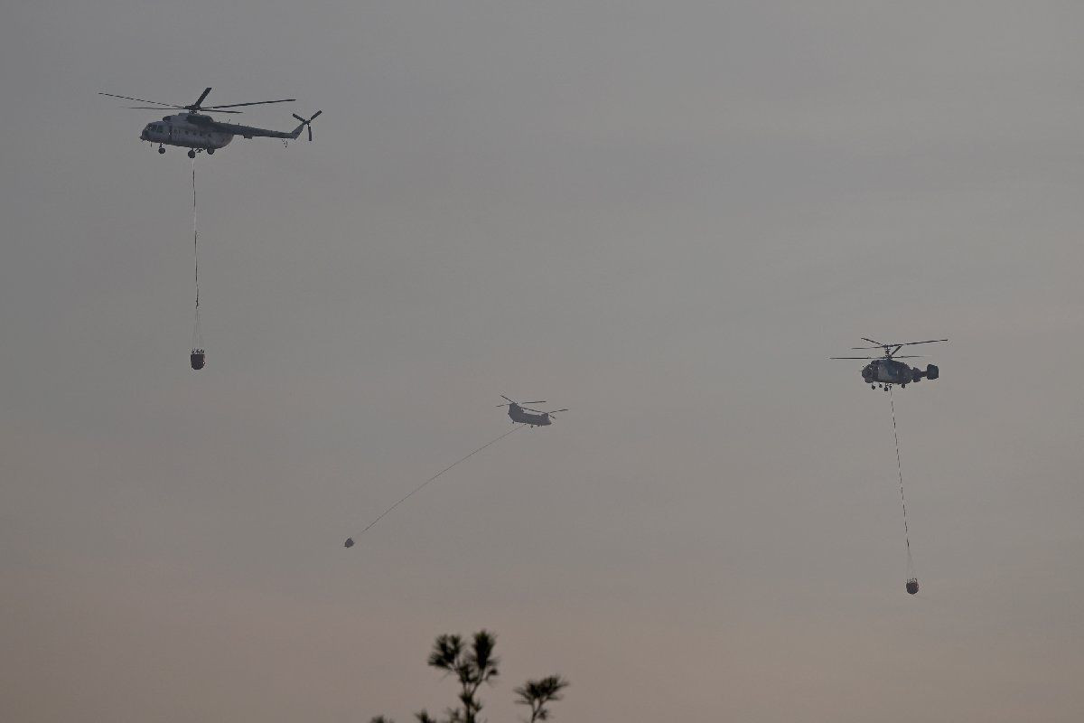 Çanakkale’deki yangın son felaketinde durum: Evler hasar gördü, köyler boşaltıldı - Sayfa 11