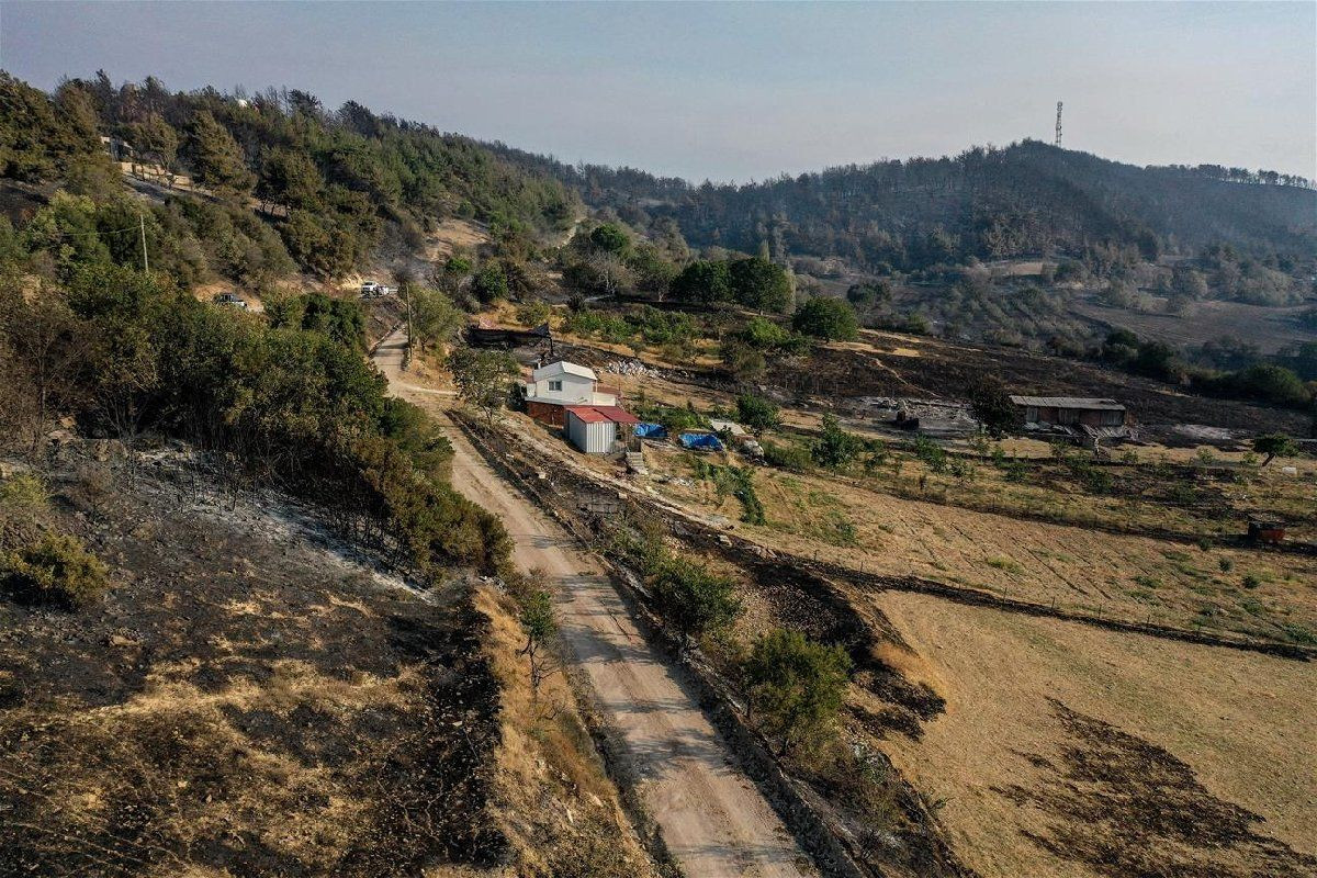 Çanakkale’deki yangın son felaketinde durum: Evler hasar gördü, köyler boşaltıldı - Sayfa 13