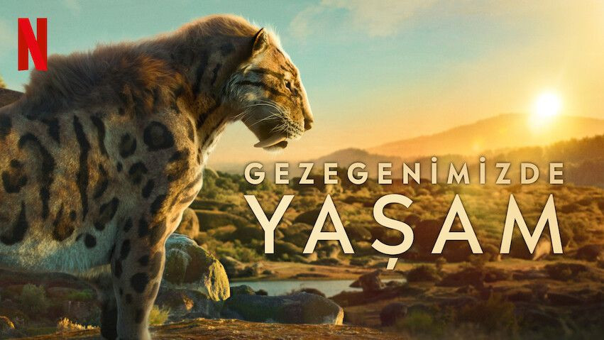 Netflix Türkiye’de en çok izlenenler belli oldu! Türk yapımı zirvede… - Sayfa 18