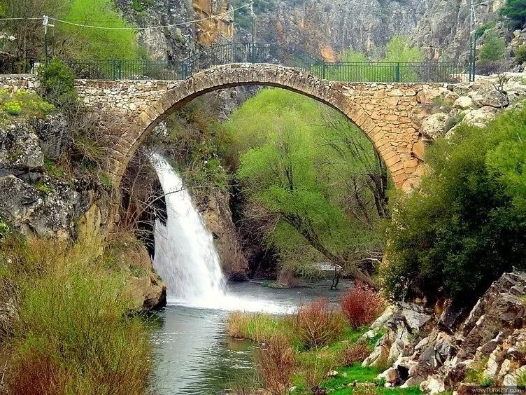 Türkiye'nin en sağlıklı kenti açıklandı! Birinci il herkesi şaşırttı - Sayfa 64