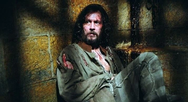 Sirius Black'ten 'Harry Potter' itirafı! Hayranları bir hayli üzülecek - Sayfa 3