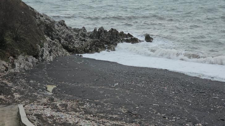 Bir ilde infial yaratan olay! Buz gibi havada plajda ilişkiye girdiler - Sayfa 5