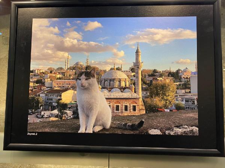 ‘Gençlerin gözünden ışık, renk, doku ve İstanbul’ sergisi sanatseverlerle buluştu - Sayfa 7