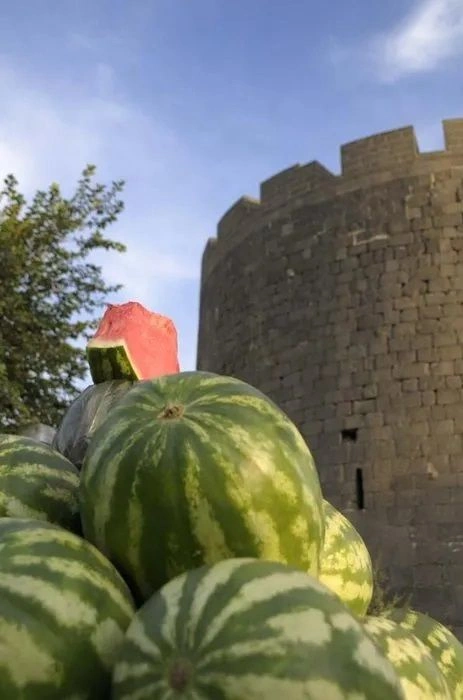 Hangi şehrimizin neyi meşhur? İşte Türkiye’nin zenginlikleri… - Sayfa 28