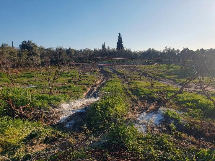 Bahçesini kazarken buldu, hemen yetkilileri aradı! - Sayfa 5