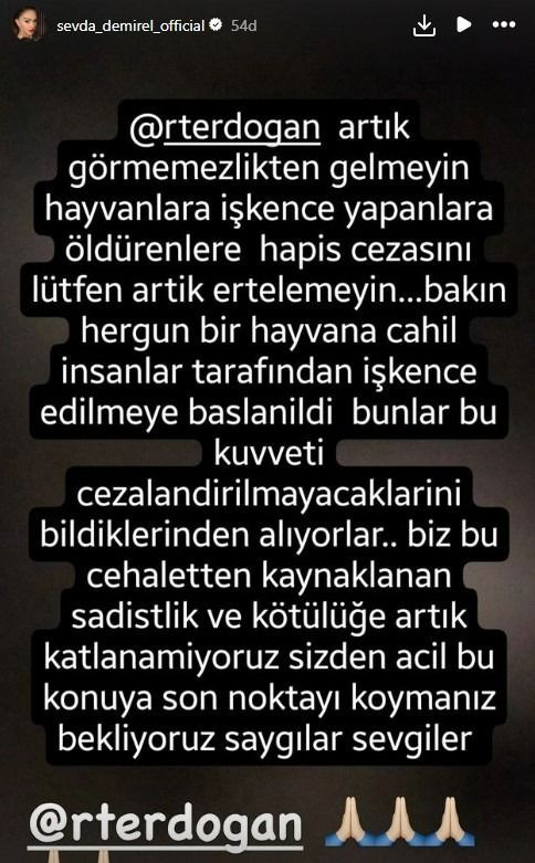 Kedi Eros'un katilinin serbest bırakılması ünlü isimleri ayaklandırdı! Cumhurbaşkanı Erdoğan'a çağrı - Sayfa 3